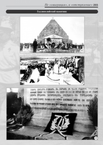11_fotoalbom_Page 293